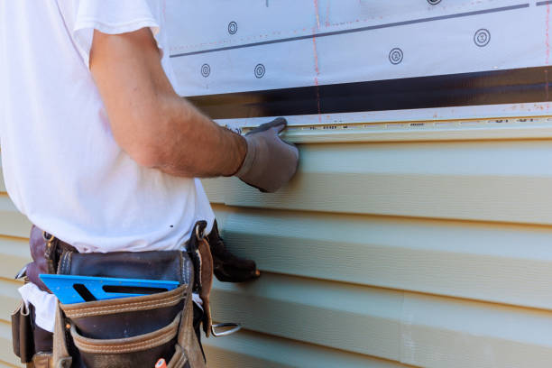 Affordable Siding Replacement solutions in Richmond Dale, OH